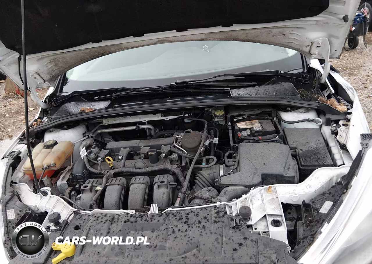 2015 Ford Focus Se VIN:1FADP3K27FL301049 - 10
