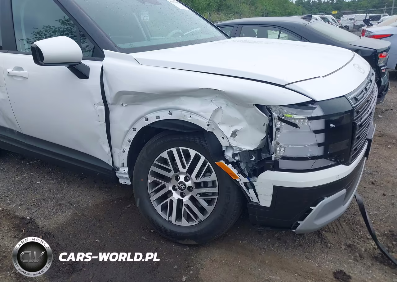 2026 Hyundai Palisade Se VIN:KM8RFES25TU083614 - 6
