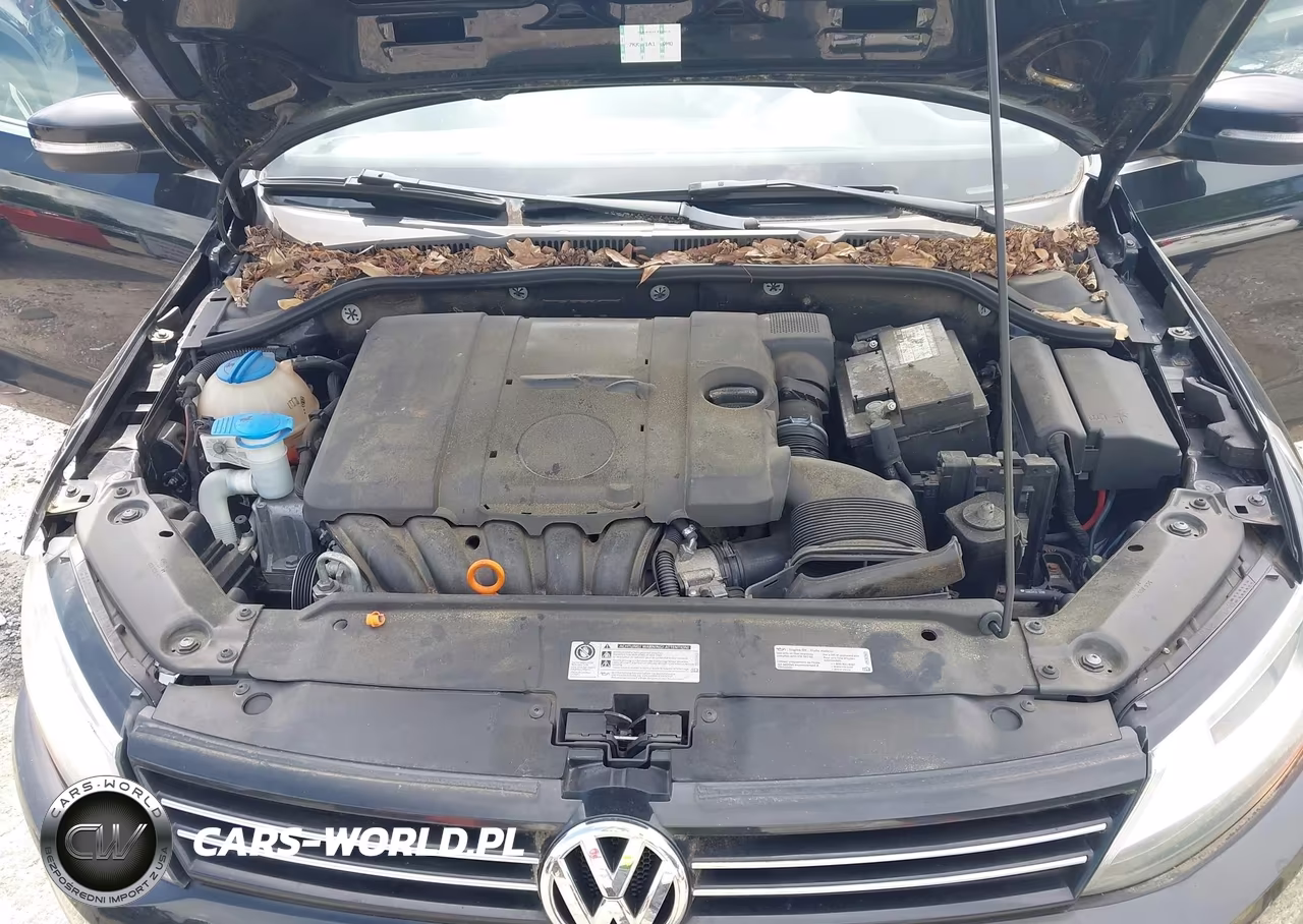 2013 Volkswagen Jetta 2.5L Se VIN:3VWDP7AJ1DM417897 - 10