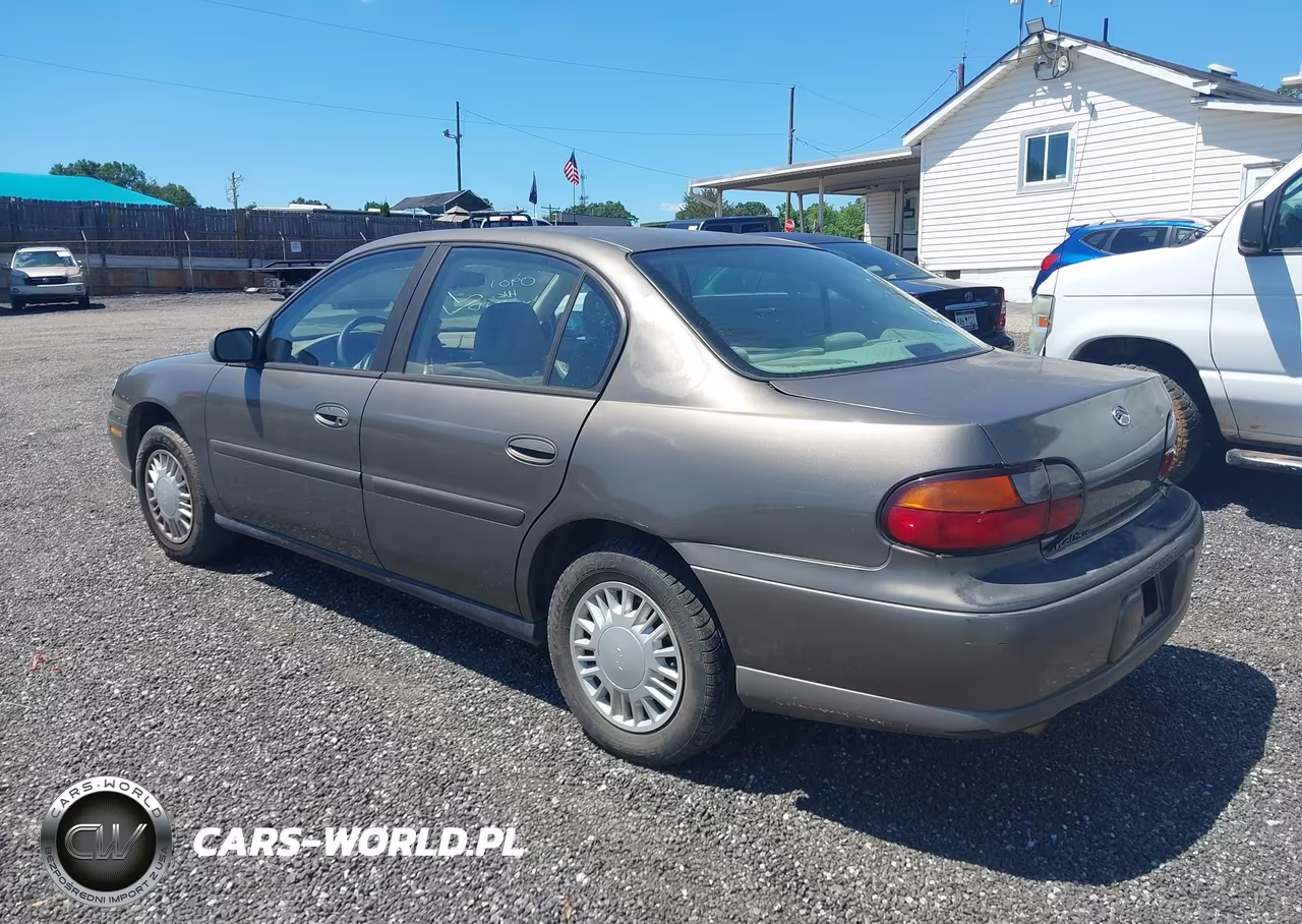2001 Chevrolet Malibu VIN:1G1ND52J916196881 - 3