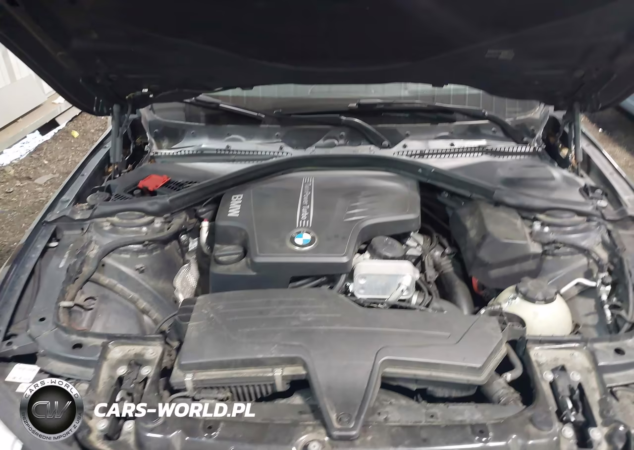 2014 BMW 428 Xi VIN:WBA3N9C50EF722483 - 10