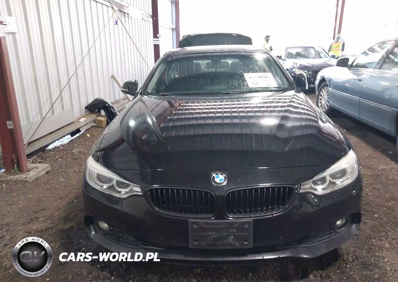 2014 BMW 428 Xi VIN:WBA3N9C50EF722483 - 12