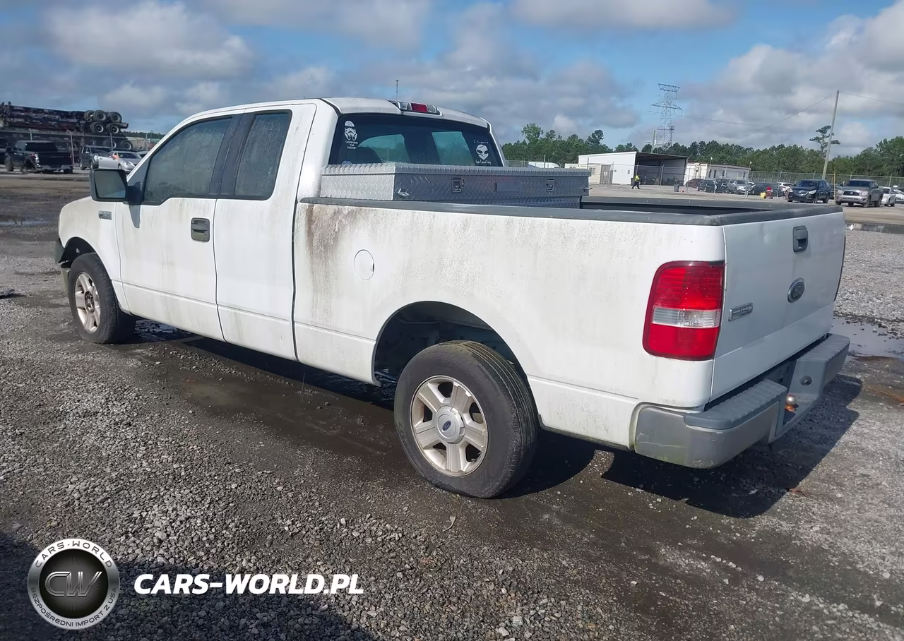 2005 Ford F-150 Stx-Xl-Xlt VIN:1FTRX12W95NA29503 - 3