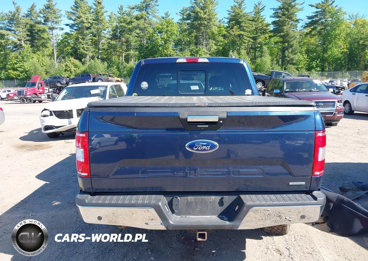 2019 Ford F-150 Xlt VIN:1FTEW1E45KFC14861 - 17