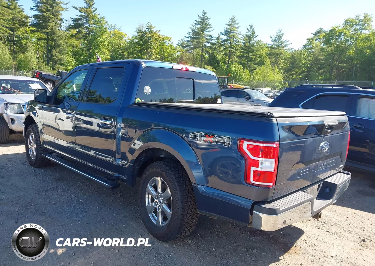 2019 Ford F-150 Xlt VIN:1FTEW1E45KFC14861 - 3