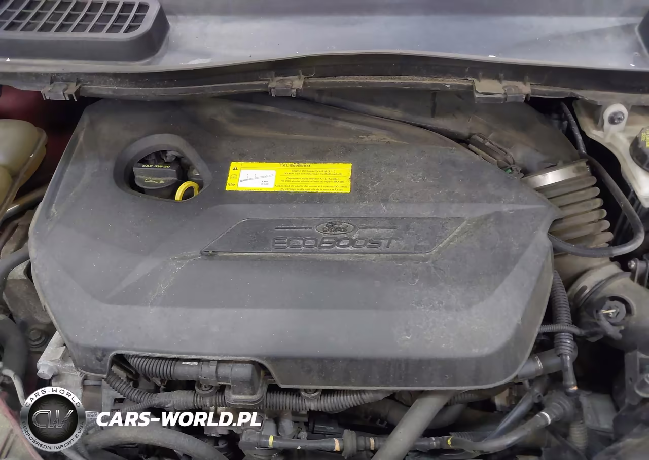 2016 Ford Escape Se VIN:1FMCU9GX7GUB33006 - 10