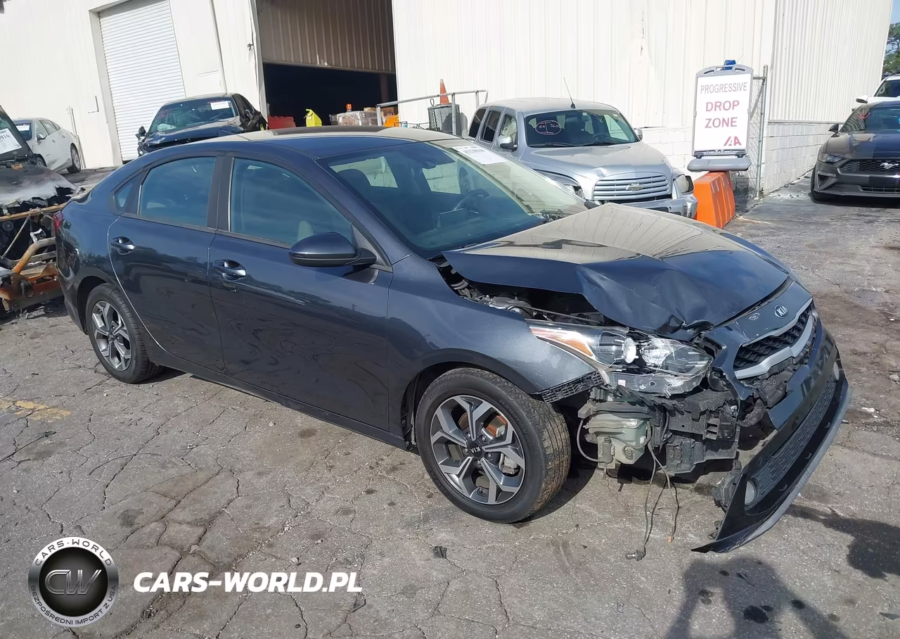 2019 Kia Forte Lxs