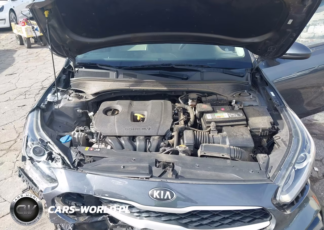 2019 Kia Forte Lxs VIN:3KPF24AD9KE064870 - 10