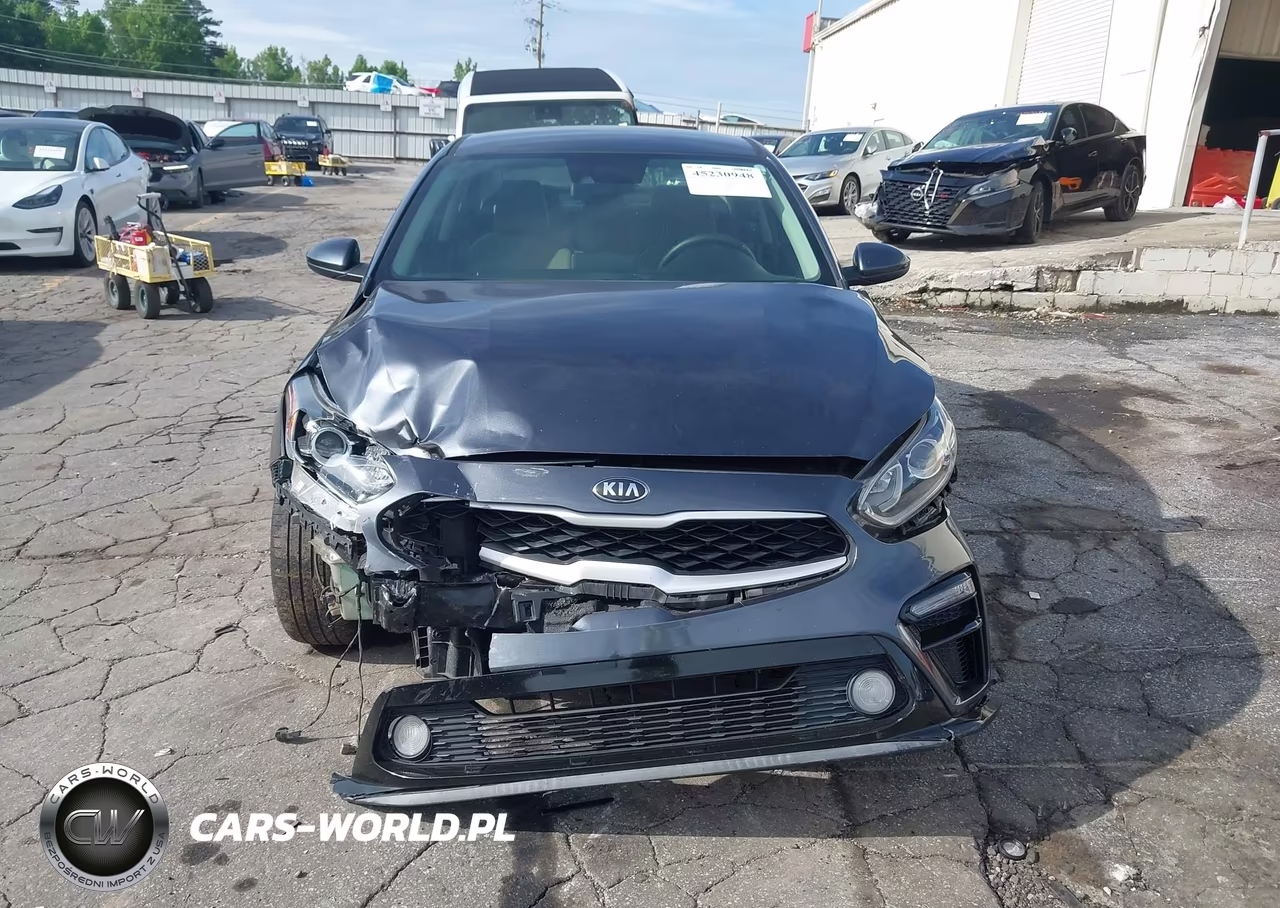 2019 Kia Forte Lxs VIN:3KPF24AD9KE064870 - 12