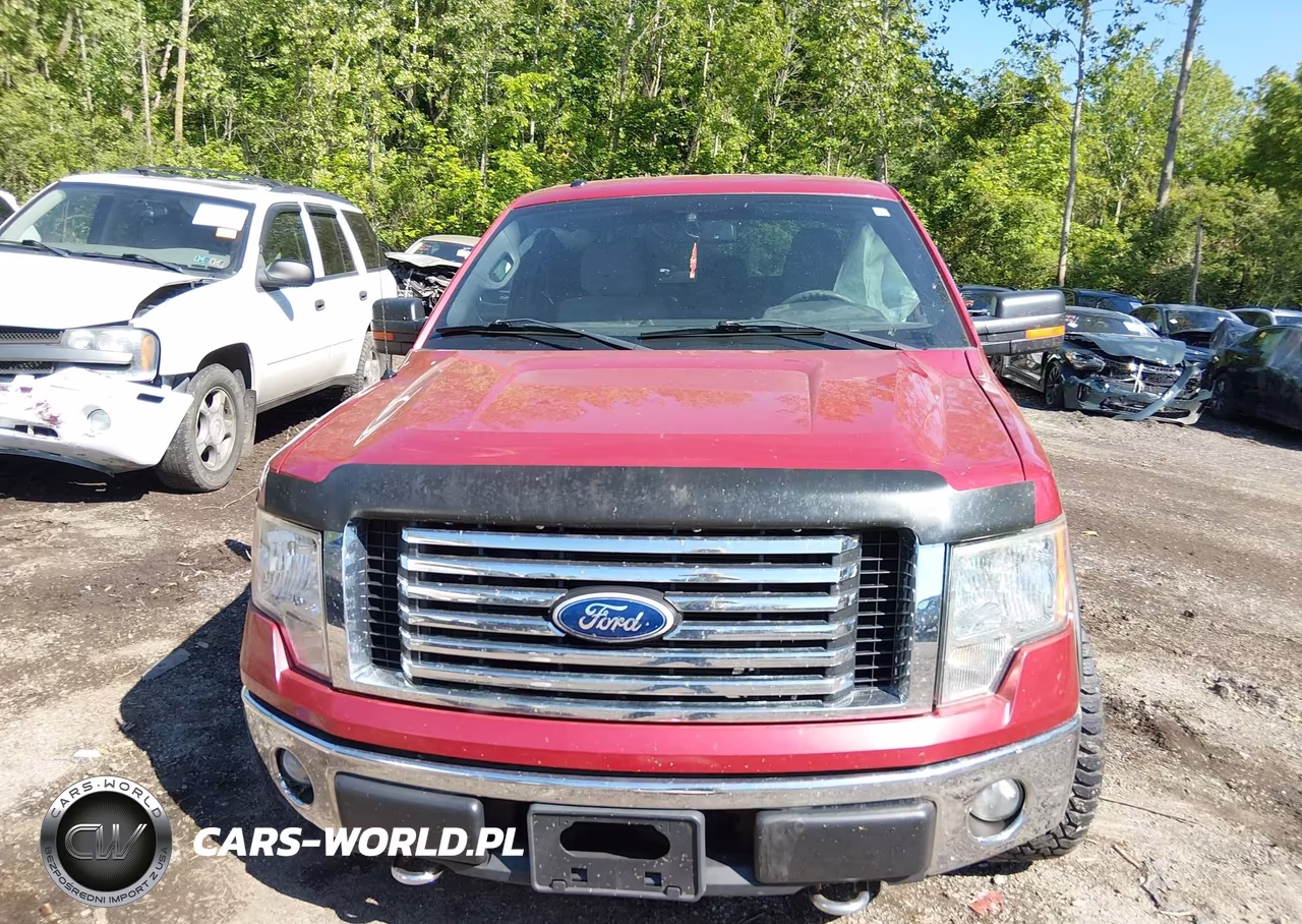 2011 Ford F-150 Xlt VIN:1FTFX1EF0BFA01173 - 12