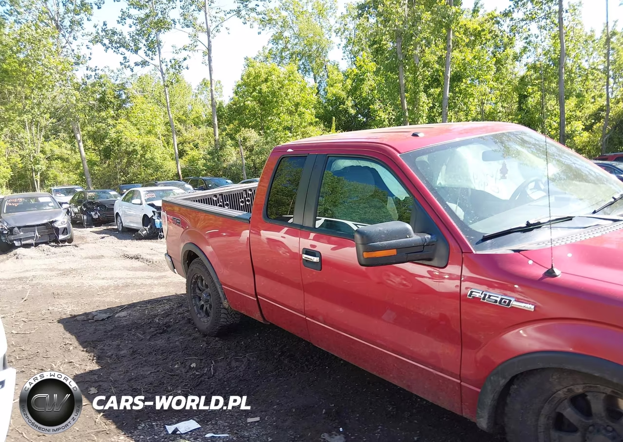 2011 Ford F-150 Xlt VIN:1FTFX1EF0BFA01173 - 13