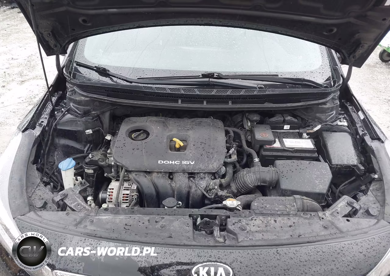 2018 Kia Forte Lx VIN:3KPFK4A74JE193074 - 10