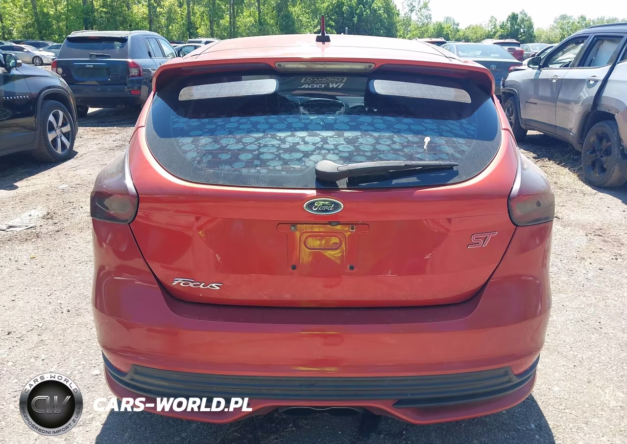 2018 Ford Focus St VIN:1FADP3L94JL291648 - 16