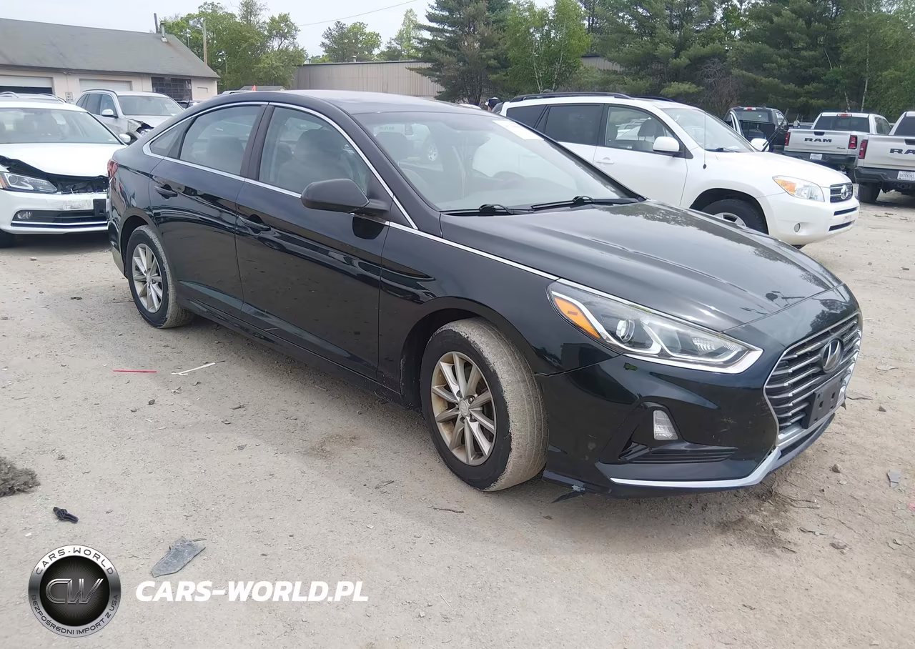 2018 Hyundai Sonata Eco