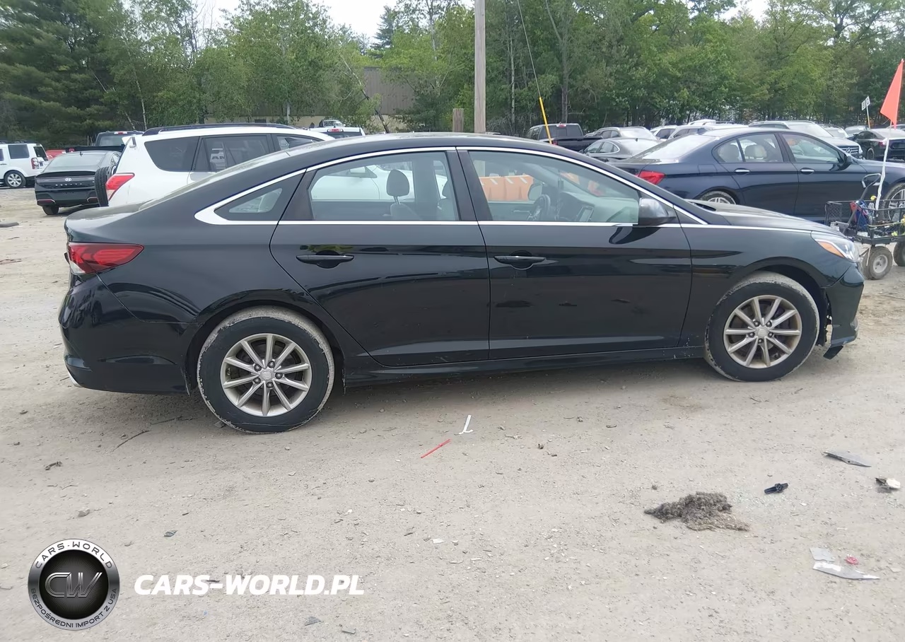 2018 Hyundai Sonata Eco VIN:5NPE24AA7JH710418 - 13
