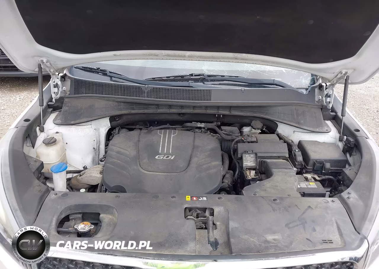 2016 Kia Sorento 3.3L Lx VIN:5XYPGDA5XGG098664 - 10