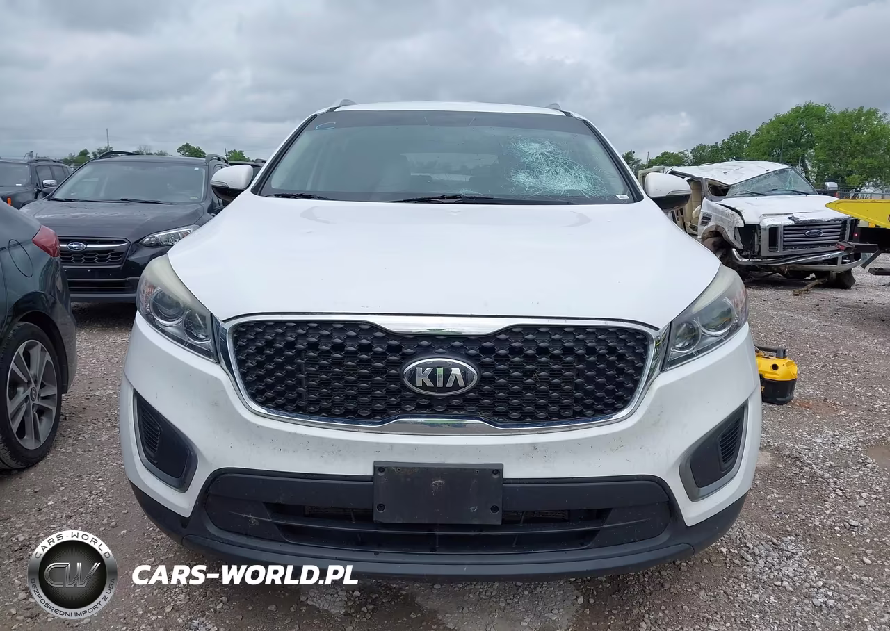 2016 Kia Sorento 3.3L Lx VIN:5XYPGDA5XGG098664 - 12