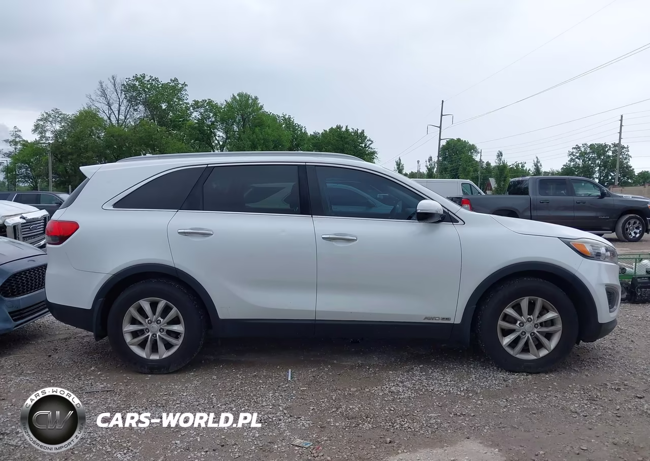 2016 Kia Sorento 3.3L Lx VIN:5XYPGDA5XGG098664 - 13