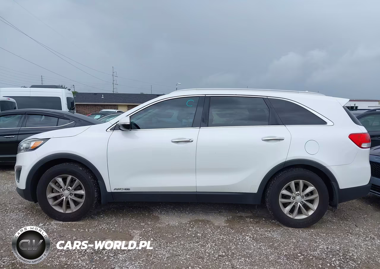 2016 Kia Sorento 3.3L Lx VIN:5XYPGDA5XGG098664 - 14