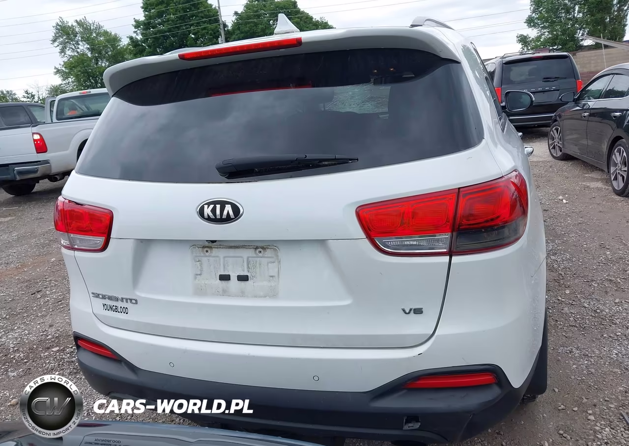 2016 Kia Sorento 3.3L Lx VIN:5XYPGDA5XGG098664 - 16