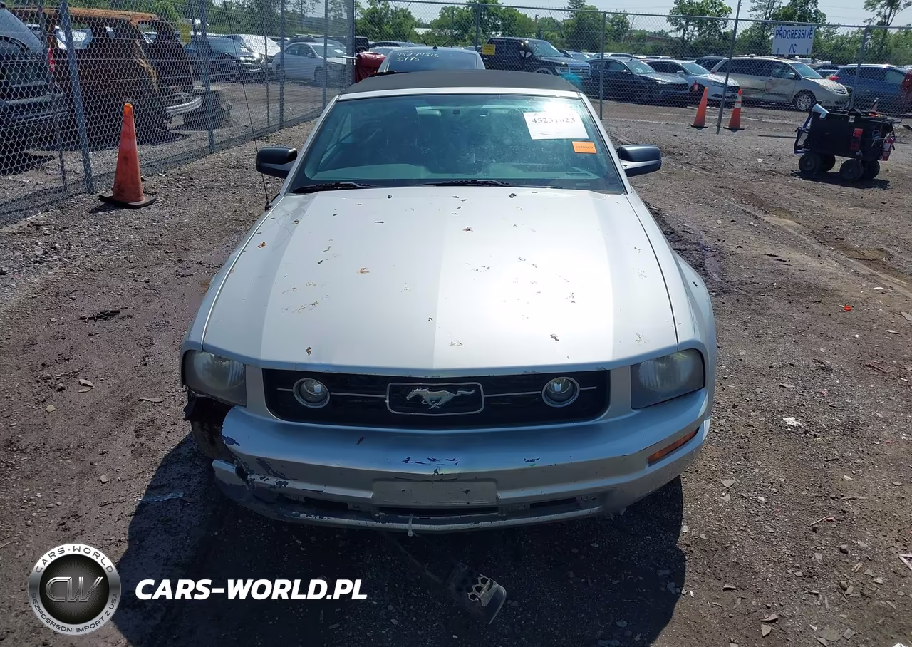 2007 Ford Mustang V6 Deluxe-V6 Premium VIN:1ZVFT84N275335194 - 12