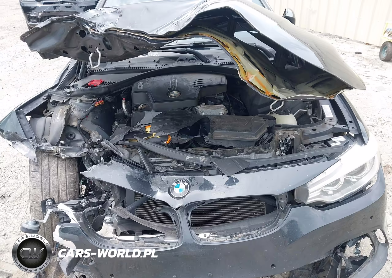 2014 BMW 4 Series 428I VIN:WBA3N3C58EF712412 - 10