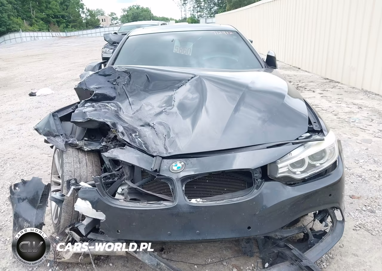 2014 BMW 4 Series 428I VIN:WBA3N3C58EF712412 - 11
