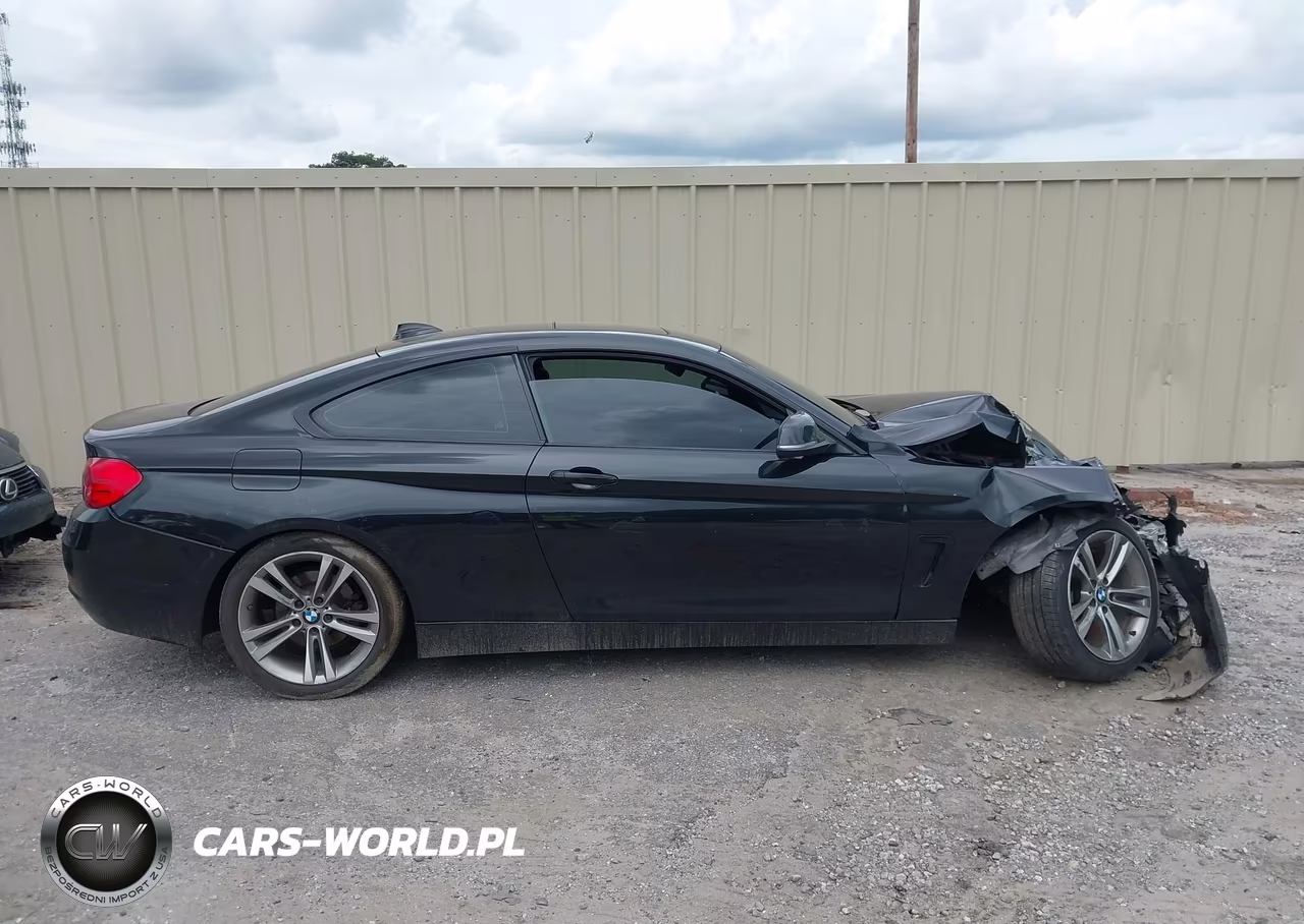 2014 BMW 4 Series 428I VIN:WBA3N3C58EF712412 - 12