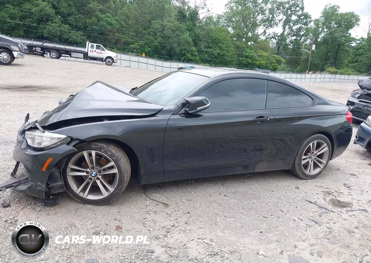 2014 BMW 4 Series 428I VIN:WBA3N3C58EF712412 - 13