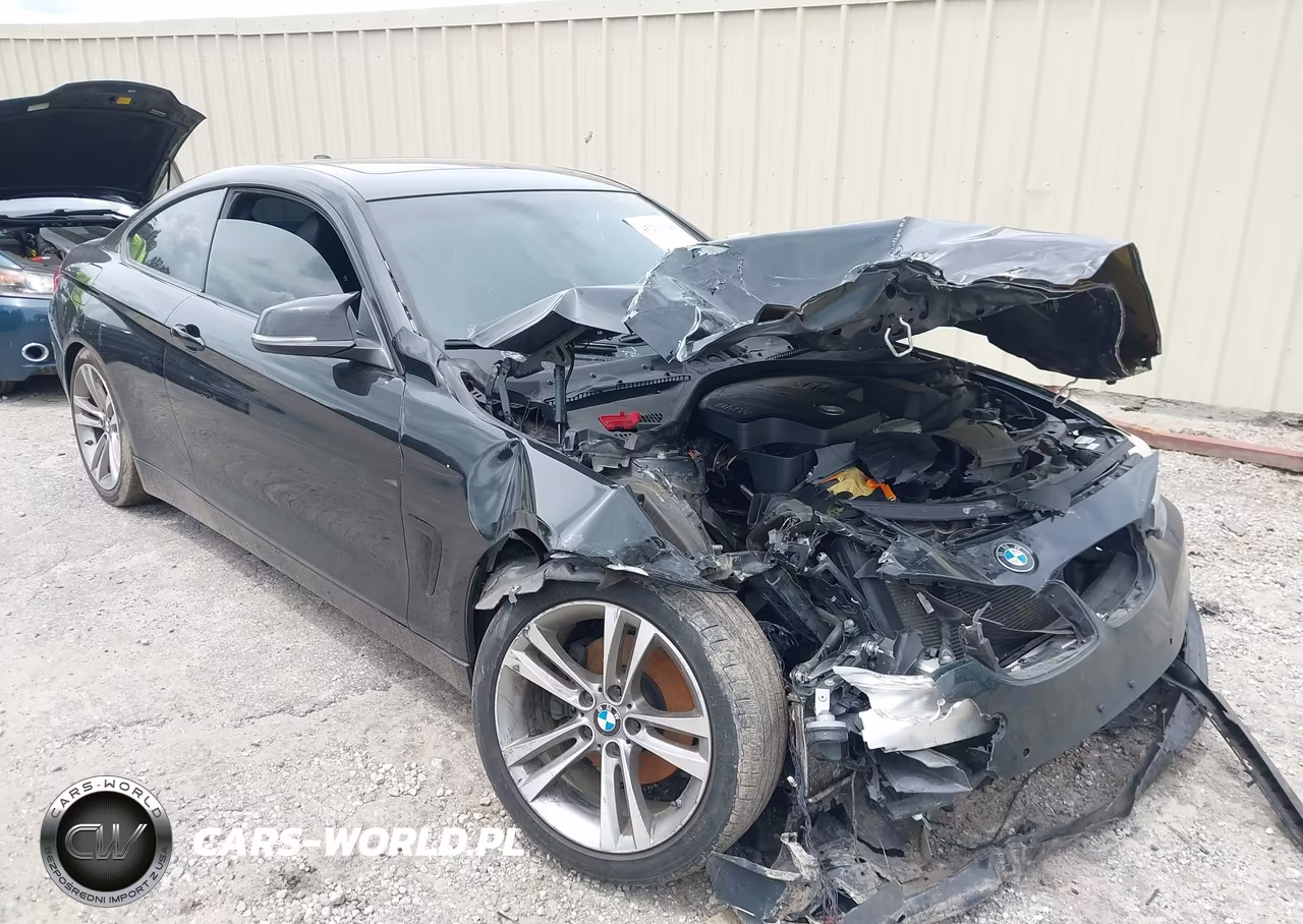 2014 BMW 4 Series 428I VIN:WBA3N3C58EF712412 - 6