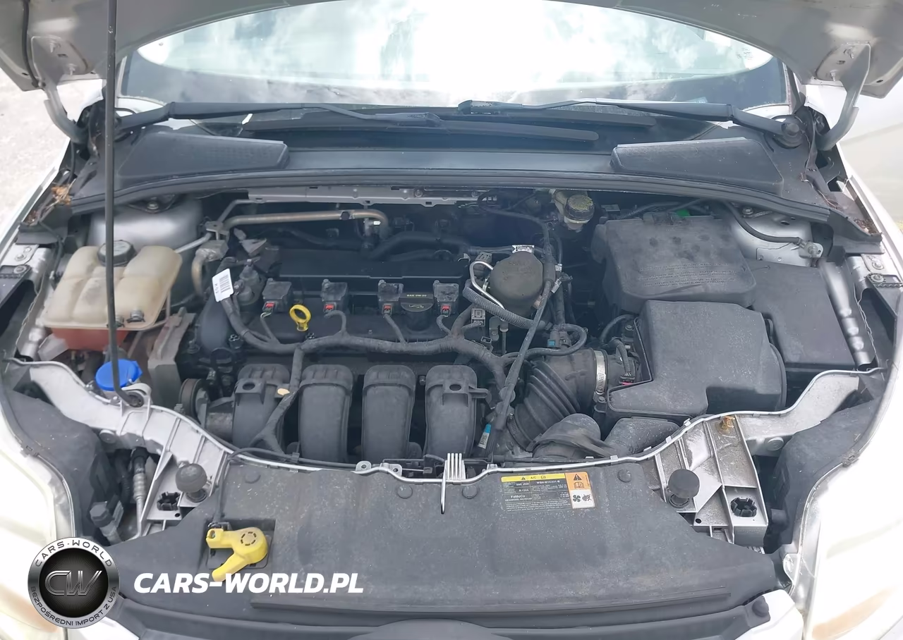2013 Ford Focus Se VIN:1FADP3F27DL331319 - 10