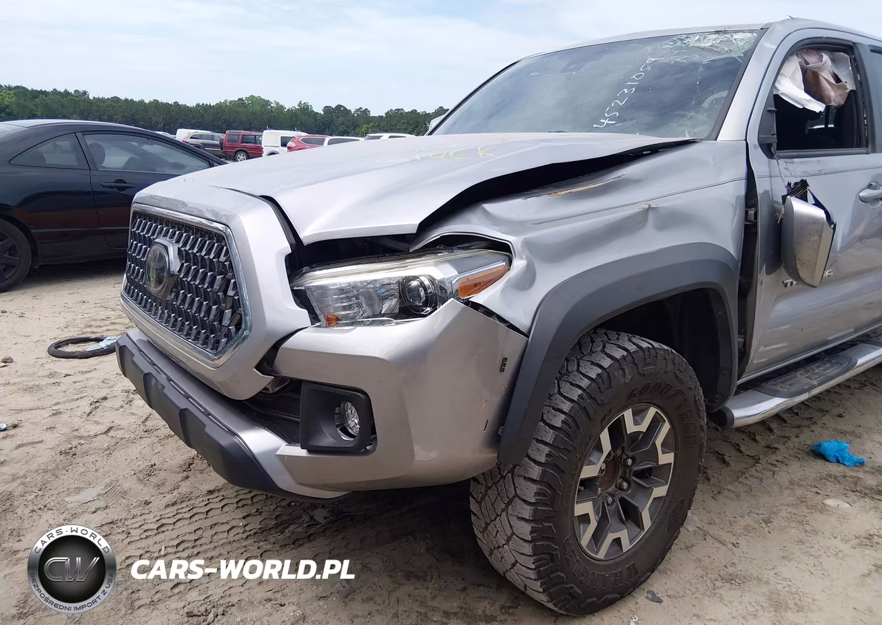 2019 Toyota Tacoma Trd Off Road VIN:3TMAZ5CN9KM081823 - 6