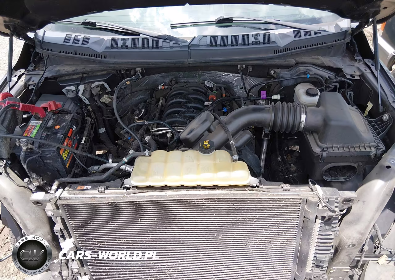 2019 Ford F-150 Xlt VIN:1FTEW1E59KKE20104 - 10