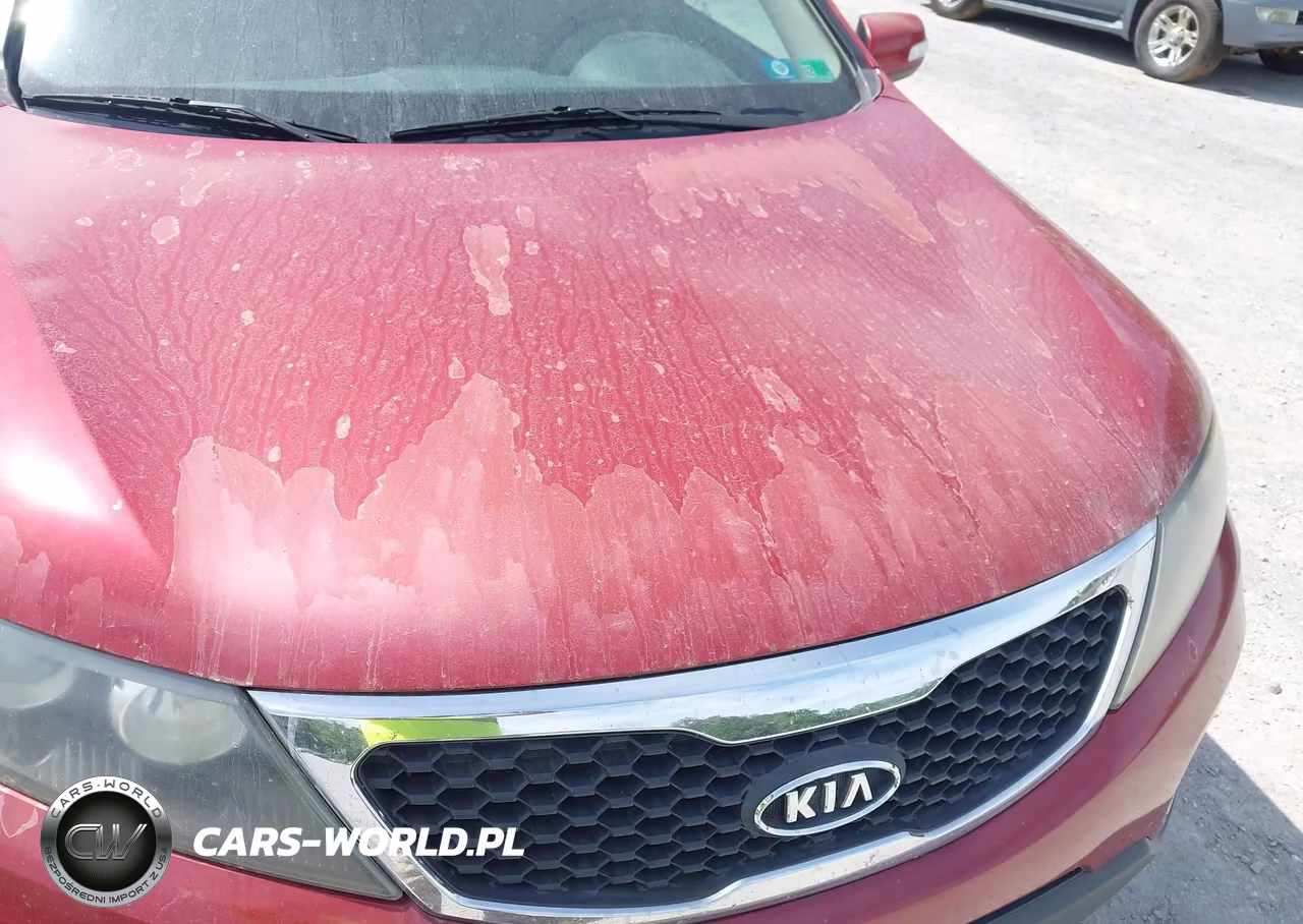 2011 Kia Sorento Ex V6 VIN:5XYKUDA27BG013166 - 15