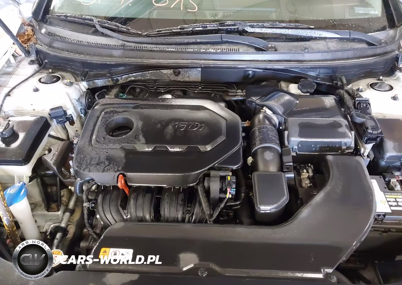 2016 Hyundai Sonata Sport VIN:5NPE34AF5GH288179 - 10
