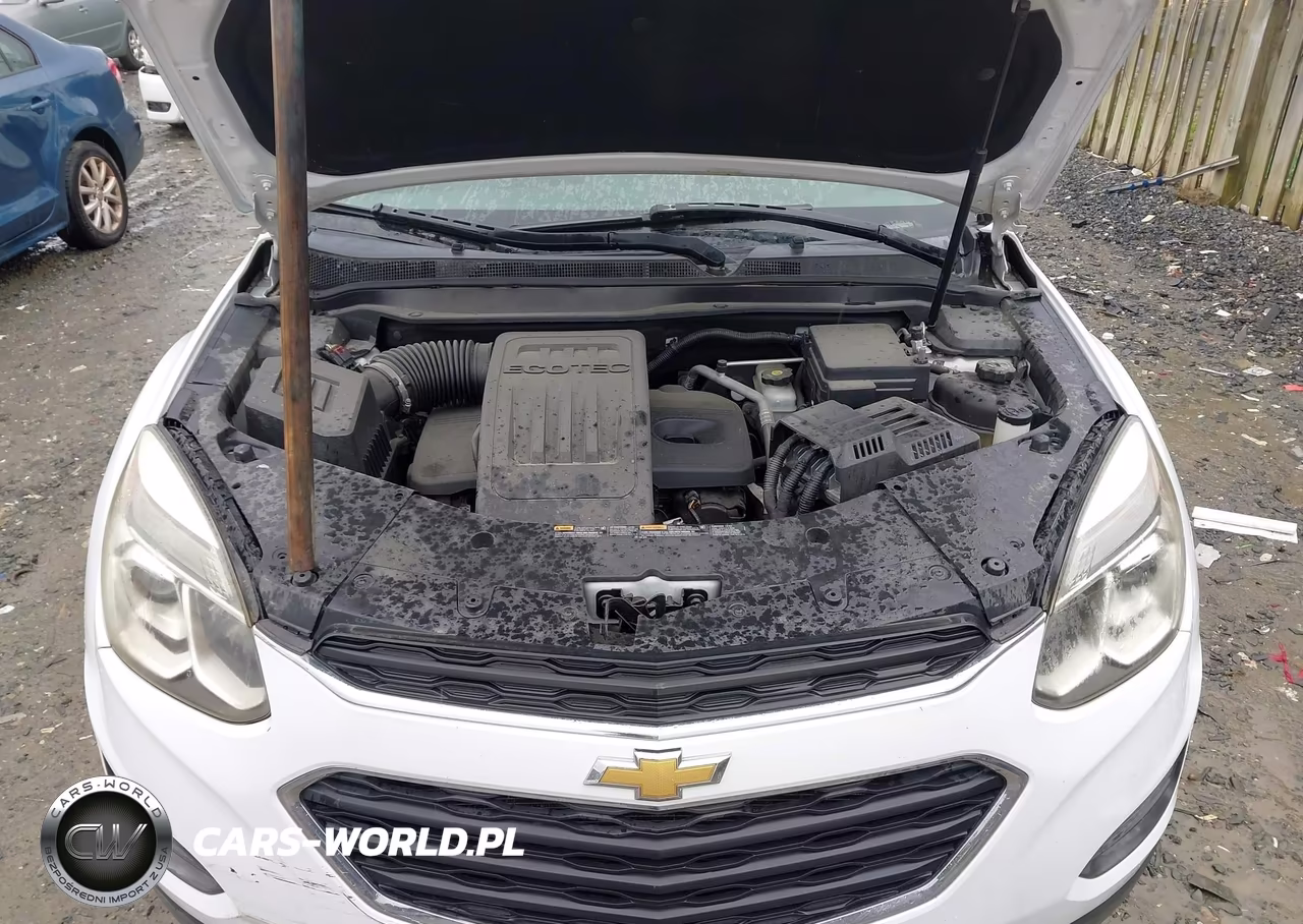 2016 Chevrolet Equinox Ls VIN:2GNFLEEK4G6267045 - 10