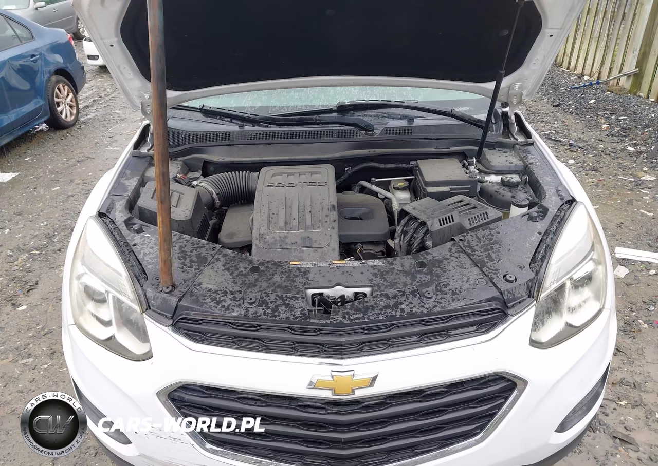 2016 Chevrolet Equinox Ls VIN:2GNFLEEK4G6267045 - 6