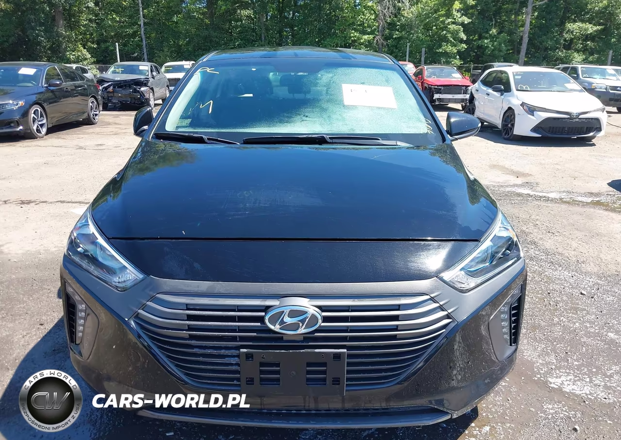 2017 Hyundai Ioniq Hybrid Sel VIN:KMHC75LC5HU046189 - 12