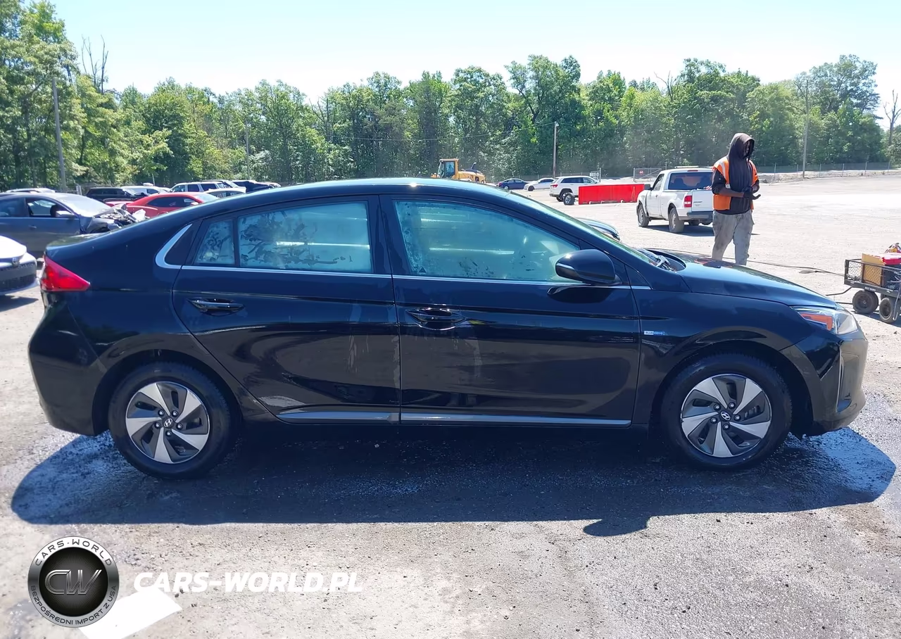 2017 Hyundai Ioniq Hybrid Sel VIN:KMHC75LC5HU046189 - 13