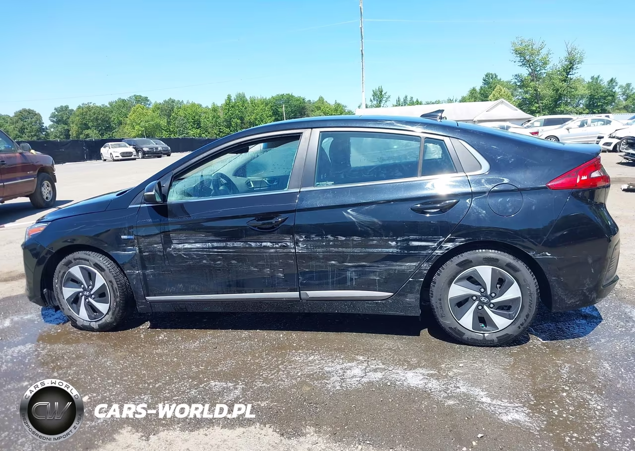 2017 Hyundai Ioniq Hybrid Sel VIN:KMHC75LC5HU046189 - 14