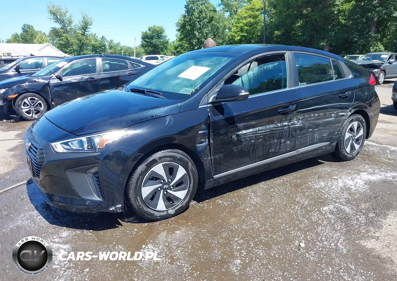 2017 Hyundai Ioniq Hybrid Sel VIN:KMHC75LC5HU046189 - 2