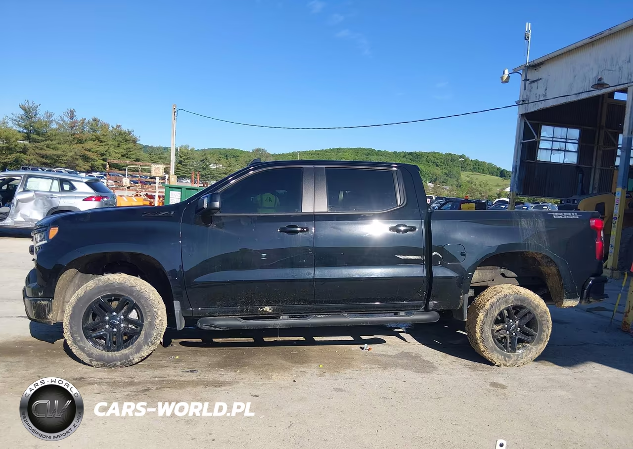 2024 Chevrolet Silverado 1500 4Wd Short Bed Lt Trail Boss VIN:3GCUDFE82RG358247 - 14