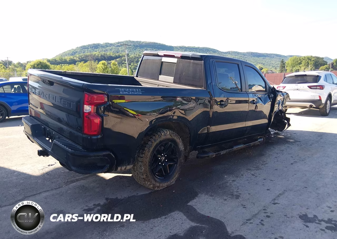 2024 Chevrolet Silverado 1500 4Wd Short Bed Lt Trail Boss VIN:3GCUDFE82RG358247 - 4