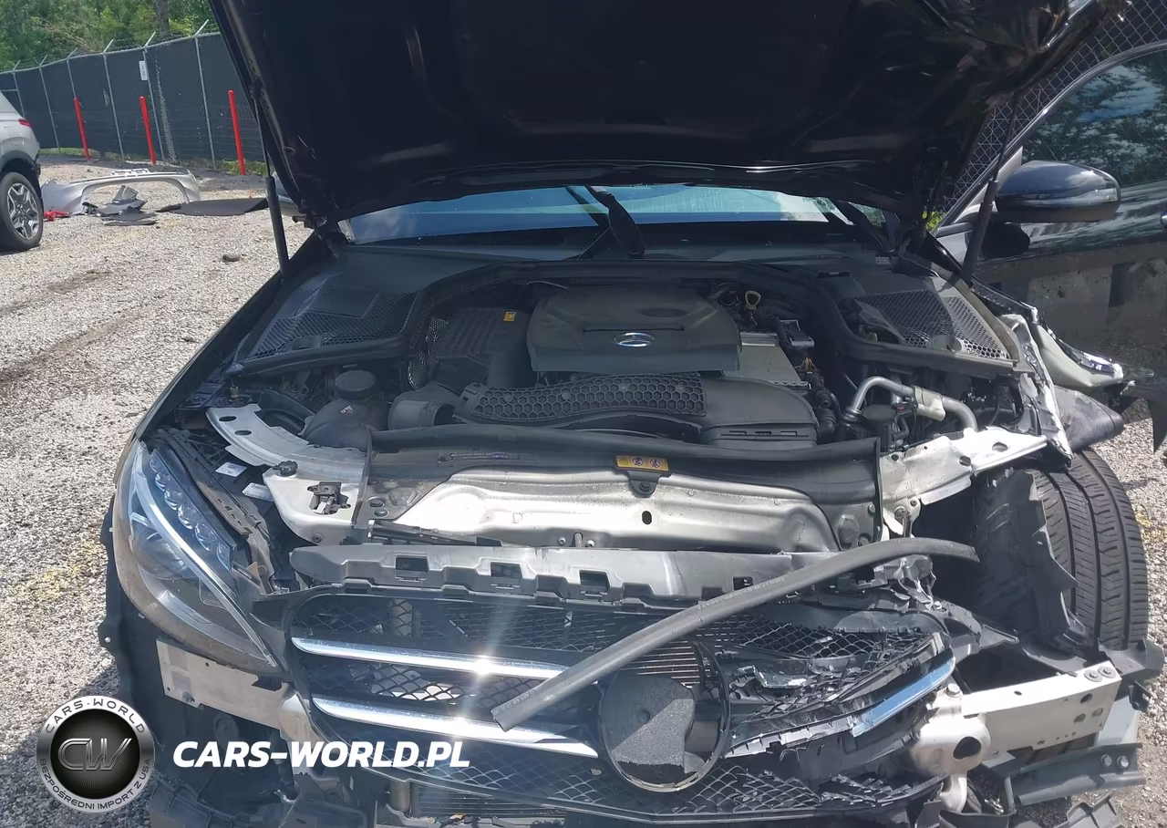 2018 Mercedes-Benz C 300 VIN:WDDWF4JB2JR415193 - 10