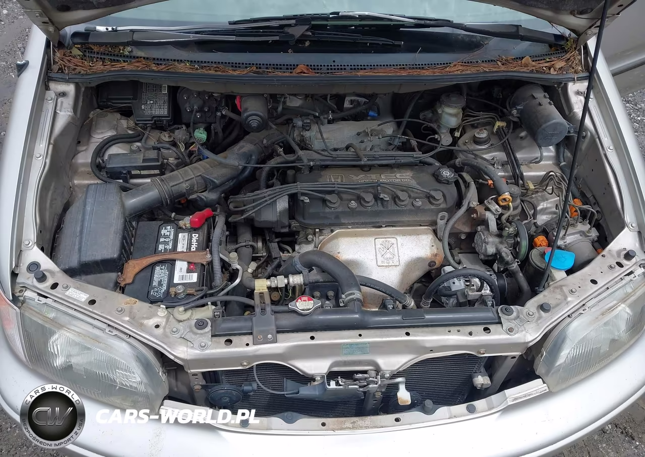 1998 Honda Odyssey Ex-Lx VIN:JHMRA3843WC000772 - 10