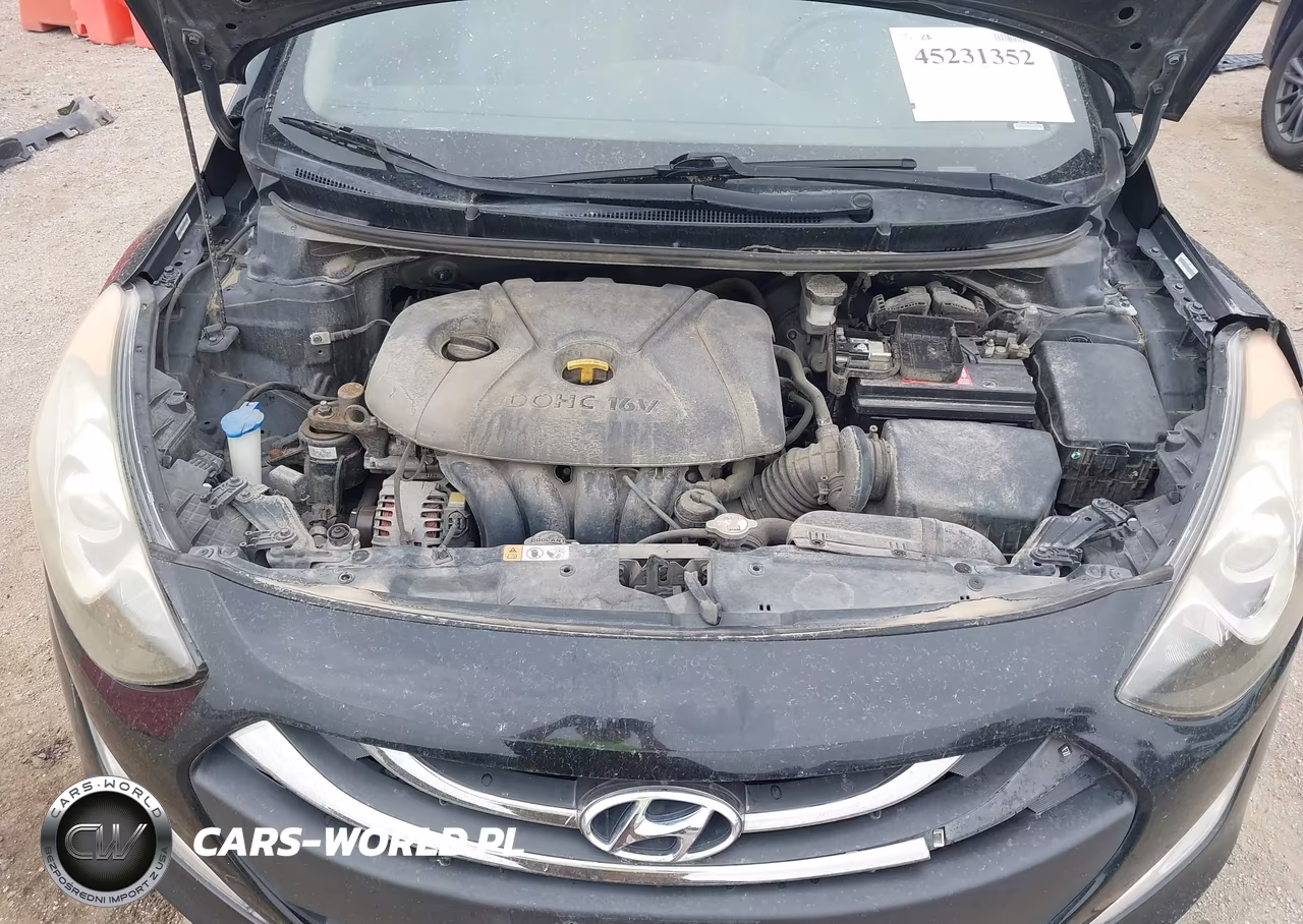 2013 Hyundai Elantra Gt VIN:KMHD35LE2DU060207 - 10