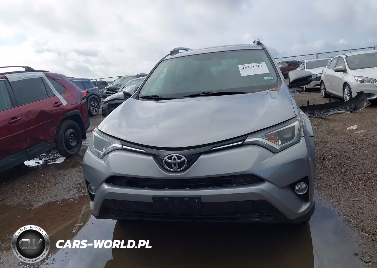 2016 Toyota Rav4 Xle VIN:2T3WFREV2GW271813 - 13