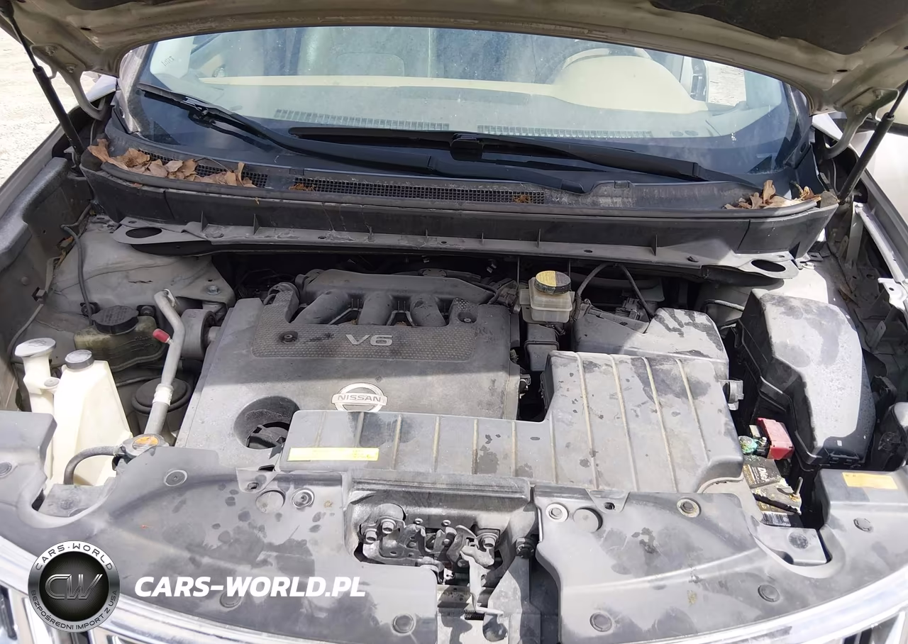 2010 Nissan Murano S VIN:JN8AZ1MU9AW006315 - 10