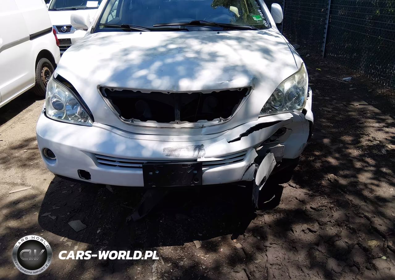 2006 Lexus Rx 400H VIN:JTJGW31UX60002974 - 6