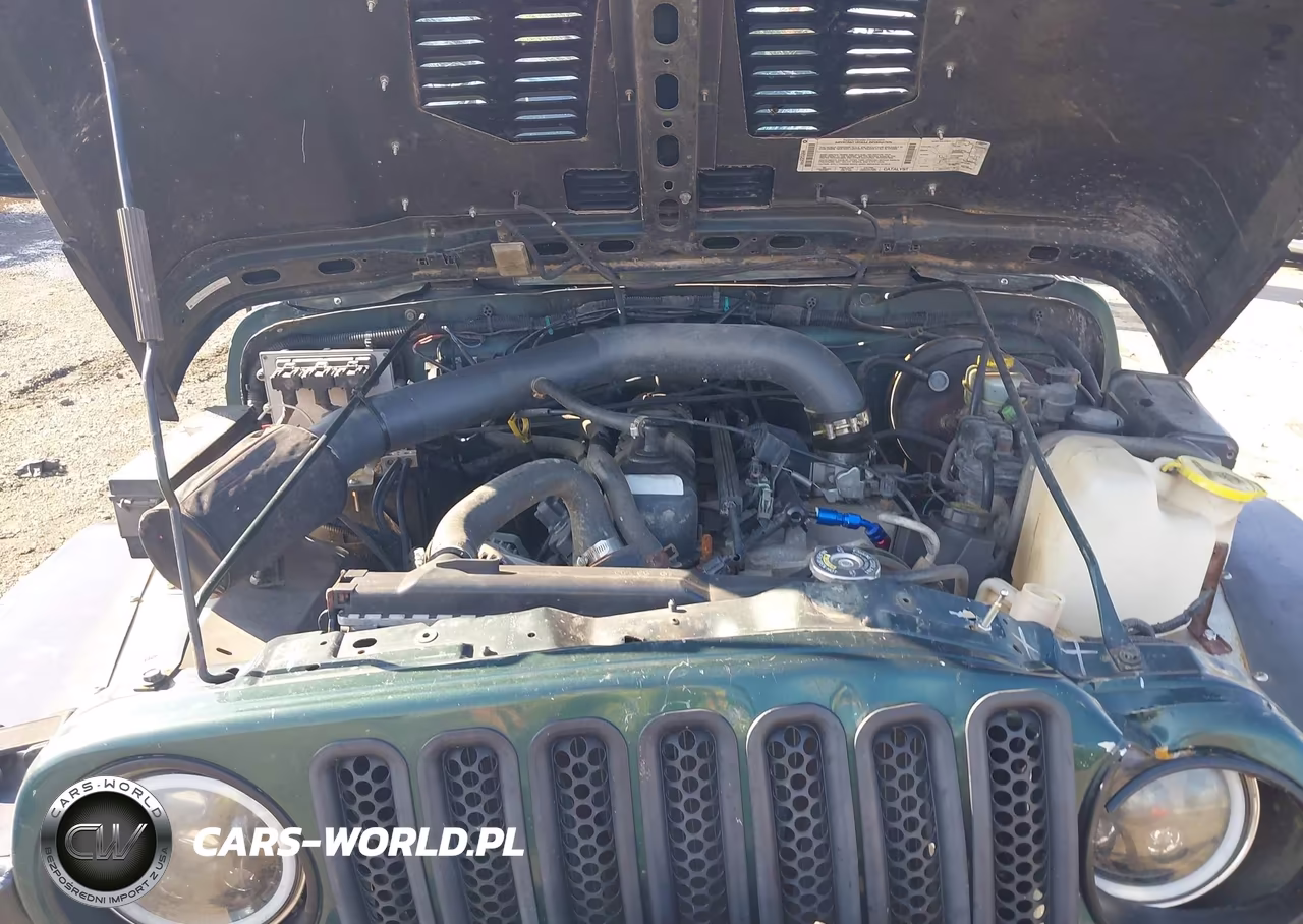 2000 Jeep Wrangler Sahara VIN:1J4FA59S2YP790701 - 10